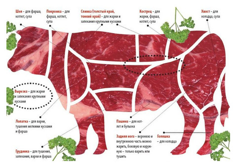 Мясо говядина баранина птица . халяль